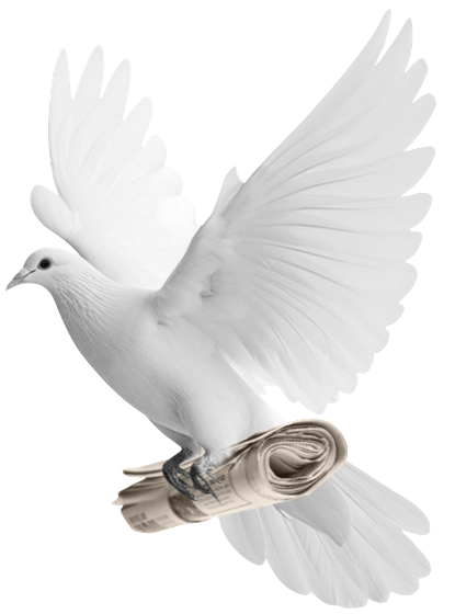 Pigeon Carrying Newspaper